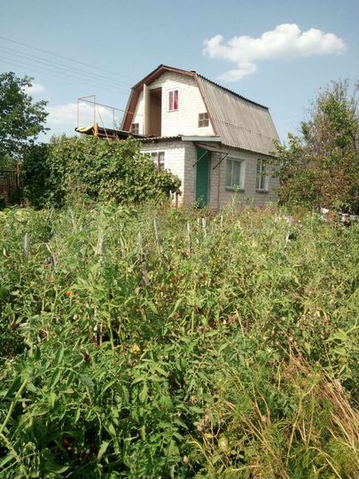 Дача 50 м² на участке 6 сот.