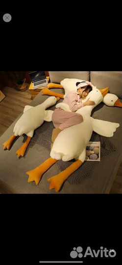 Гусь обнимусь