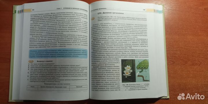 Биология 10 класс Теремов, Петросова