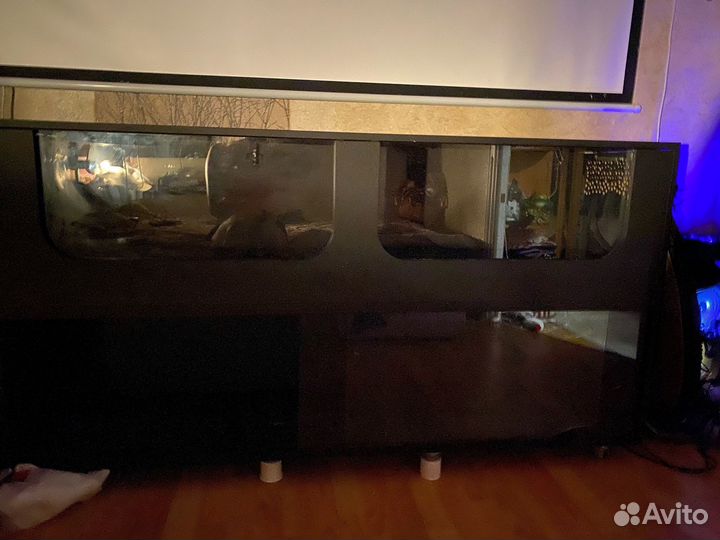 Террариумы для рептилий