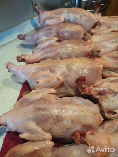 Мясо перепелиное