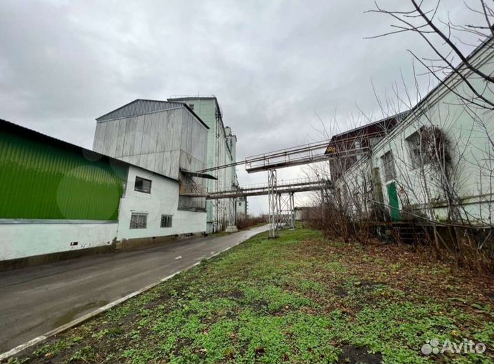 Элеватор. Готов к работе