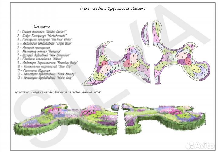 Проектирование древесно-кустарниковых групп