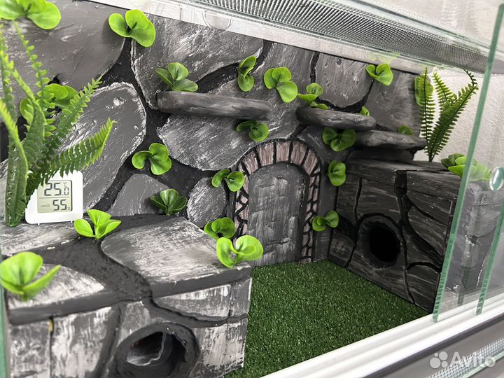 Фон для террариума