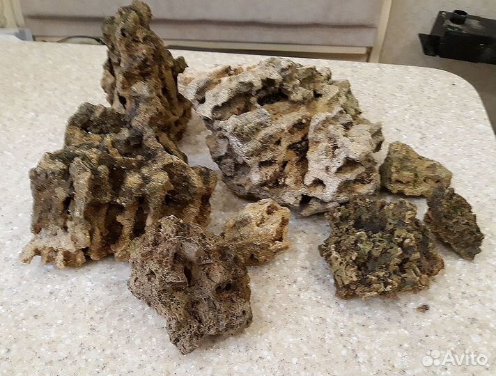 Декор для аквариума