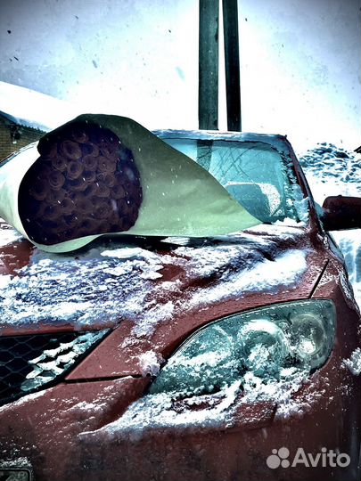 Свой человек в казани