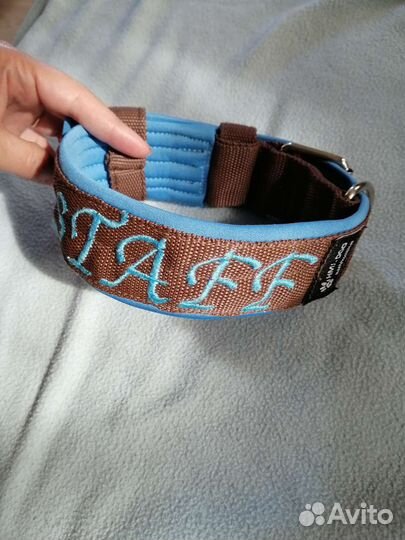 Ошейники для собак