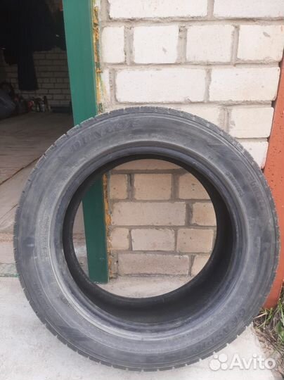 Dunlop Graspic DS3 205/55 R16