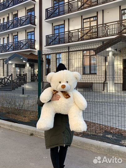 Плюшевый медведь