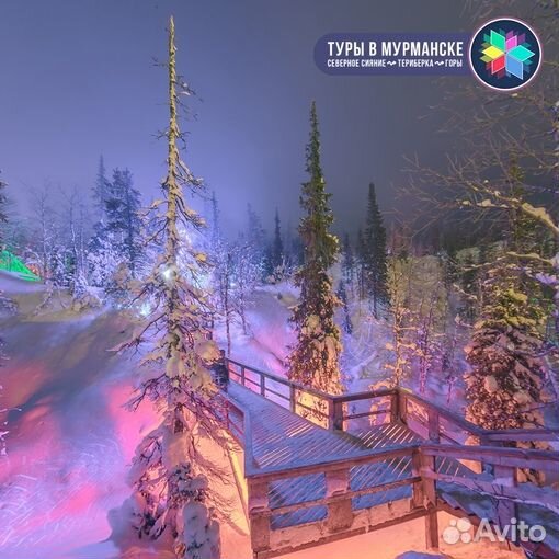 1 день: Экскурсия в горы Хибины из Мурманска. Зима