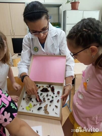 Лагерь дневного пребывания 