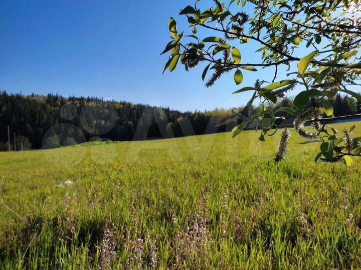 Участок 16 сот. (ИЖС)