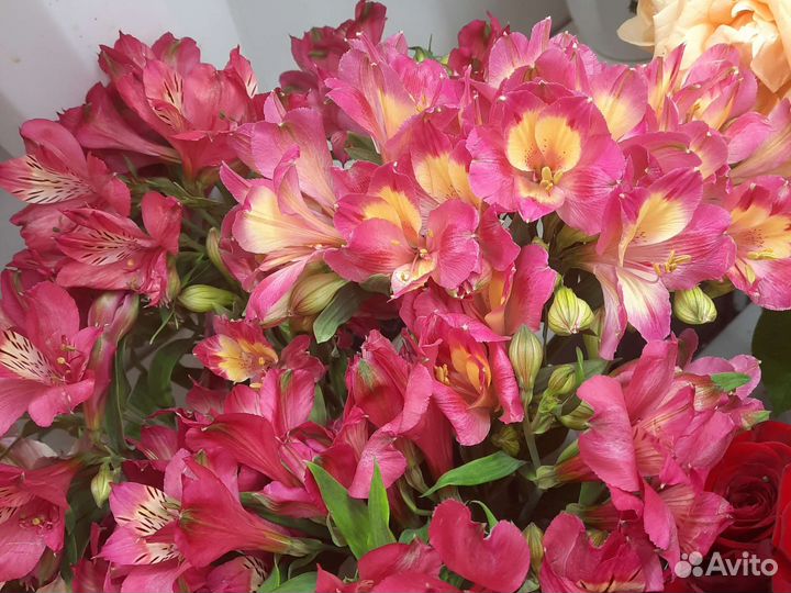 Букет из альстромерий