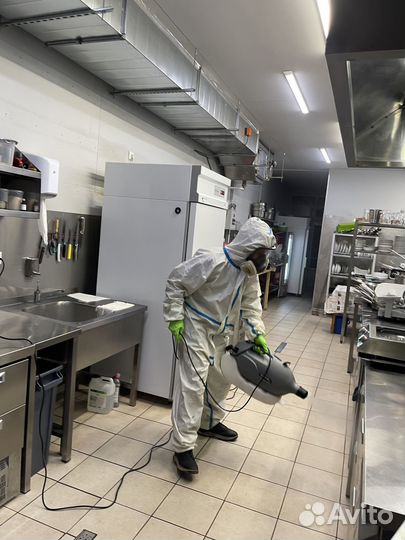 Уничтожение тараканов травля тараканов Дезинфекция