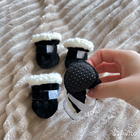 Ботинки для маленькой собаки