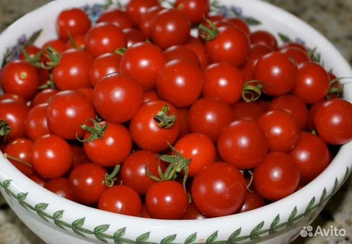 Томат дюймовочка черри семена