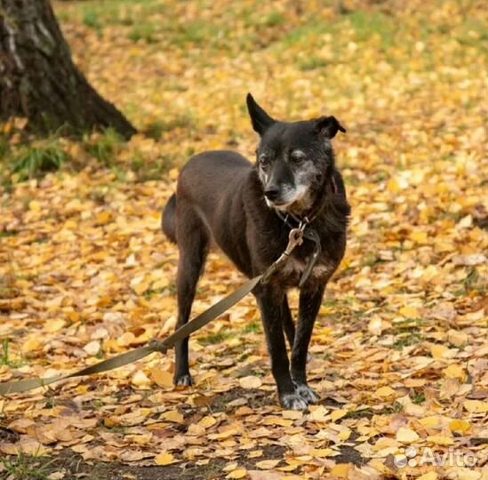 Выбирайте сердцем