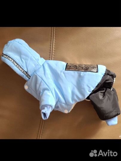 Комбинезон для маленькой собаки