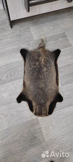 Шкуры барсука
