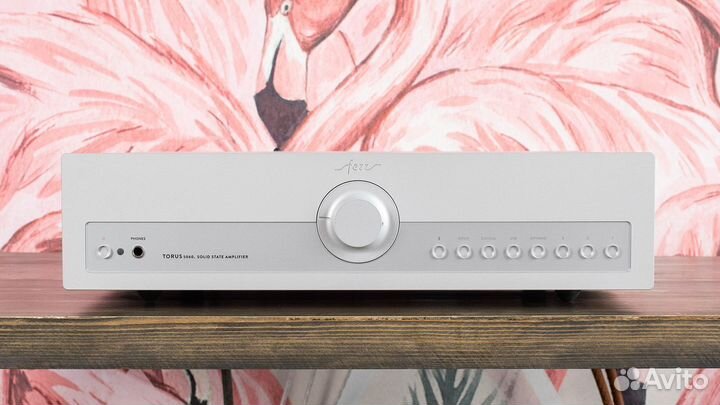 Интегральный усилитель Fezz Audio Torus 5060