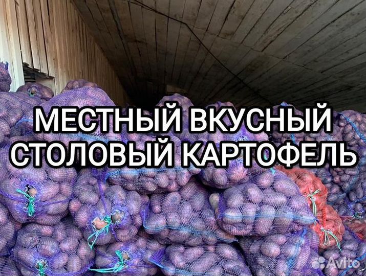 Картофель столовый вкусный местный