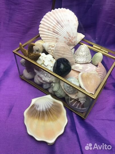 Пудренница ракушка СССР серебро