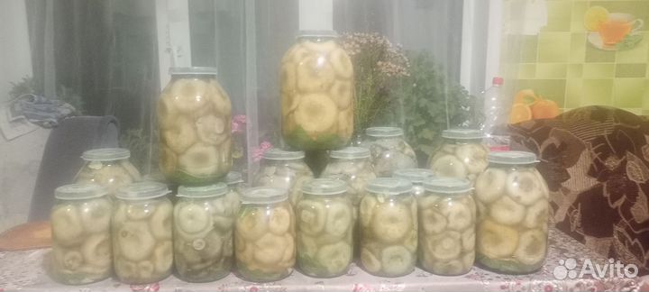 Грузди соленые холодным способом