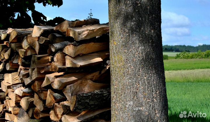 Дрова для бани