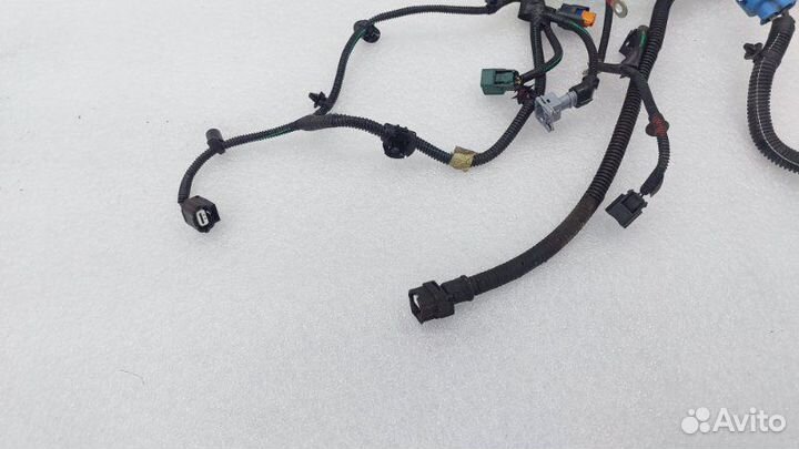 Проводка двигателя Nissan Terrano D10 H4M 2020
