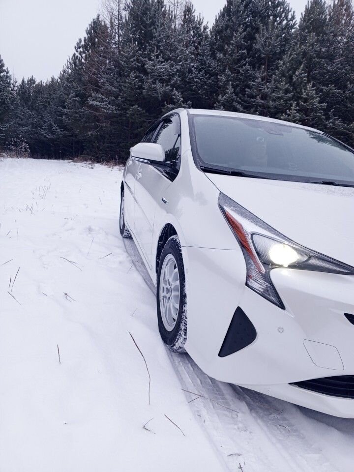 Toyota Prius: фото из отзыва