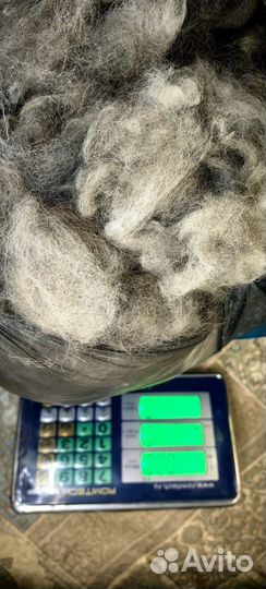 Собачья шерсть пух