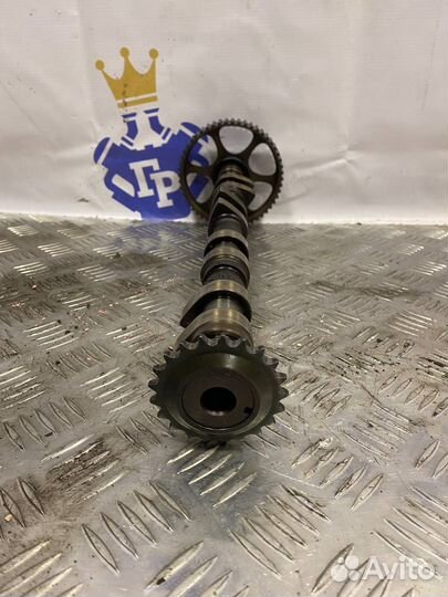 Распредвал выпускной Ауди А3 99г 1.8 (AGN) б/у