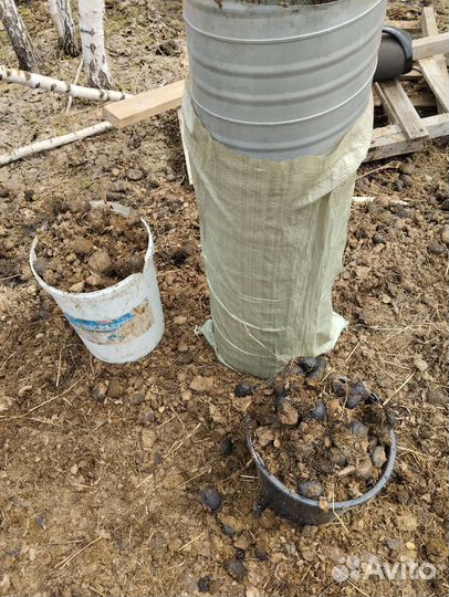 Конский навоз