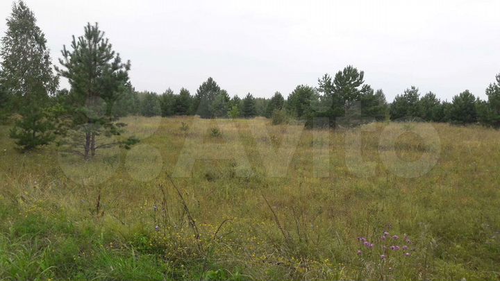 Участок 100 сот. (ИЖС)