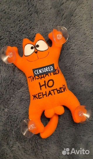 Кот Саймона в авто