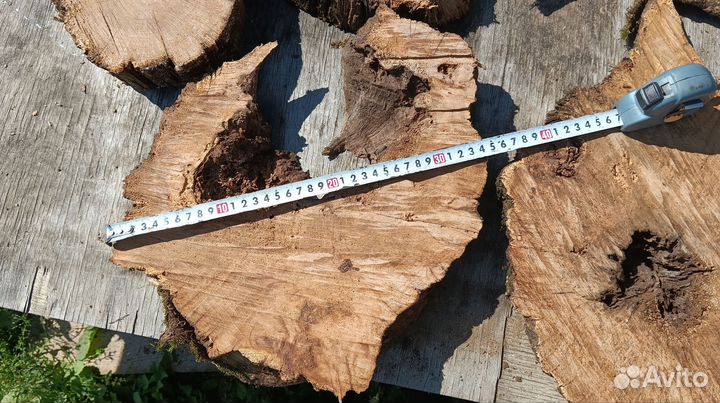 Спилы дерева, дуб