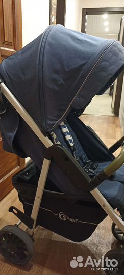 Прогулочная коляска Rant vega