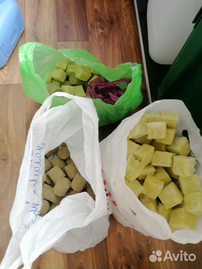 Гидропонная установка