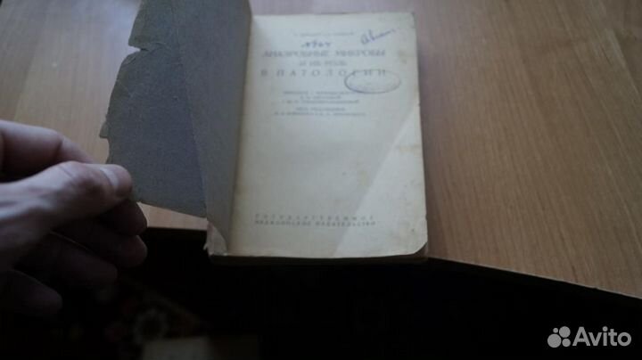 Анаэробные микробы и их роль в патологии