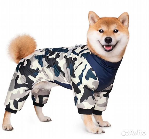 Собд38. Дождевик для собак (спинка 30см)