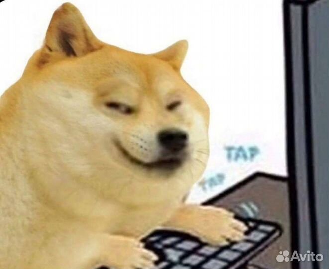 Администратор