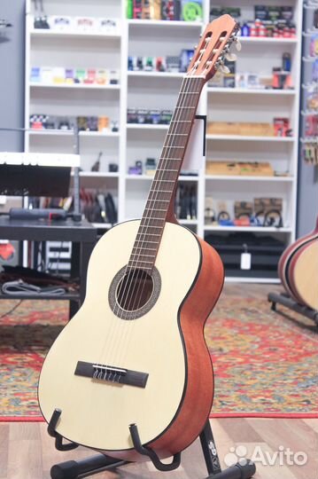 Классическая гитара 4/4 с чехлом Parkwood