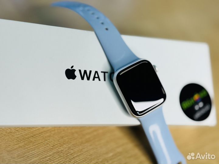 Apple Watch SE 44mm Silver