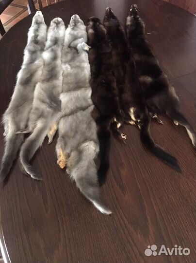Шкурки норки