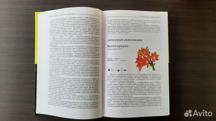 Энциклопедия комнатных растений