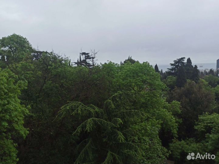 Вещи пакетом