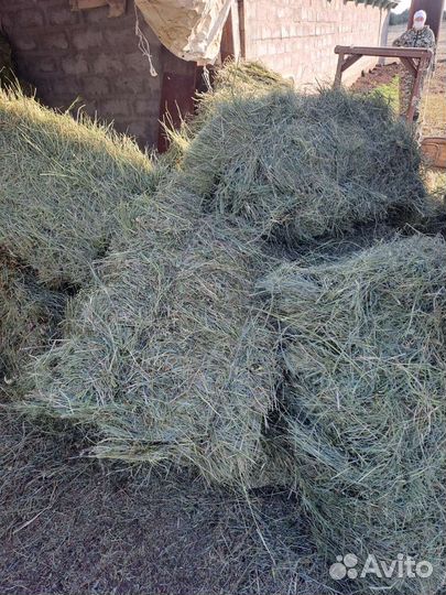 Сено с доставкой