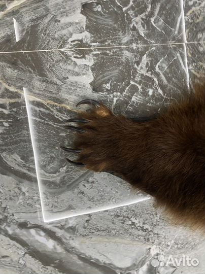 Шкура, чучело медведя. Имитация