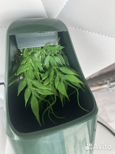 Фонтан, поилка для рептилий