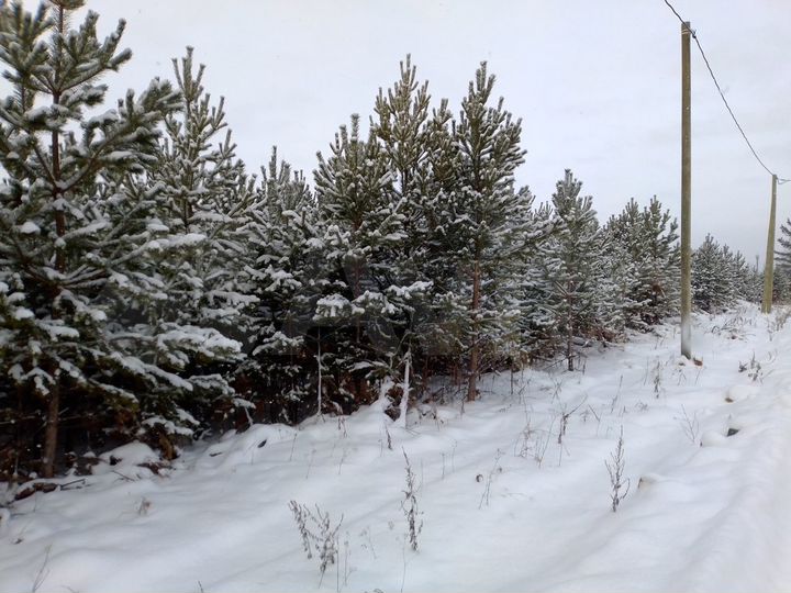 Участок 6 сот. (СНТ, ДНП)